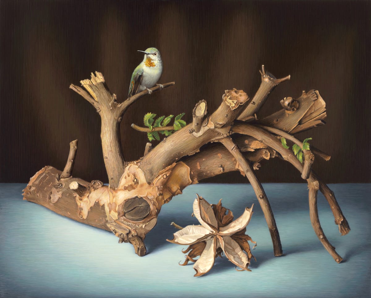 Chinese Elm & Cotton Husk 