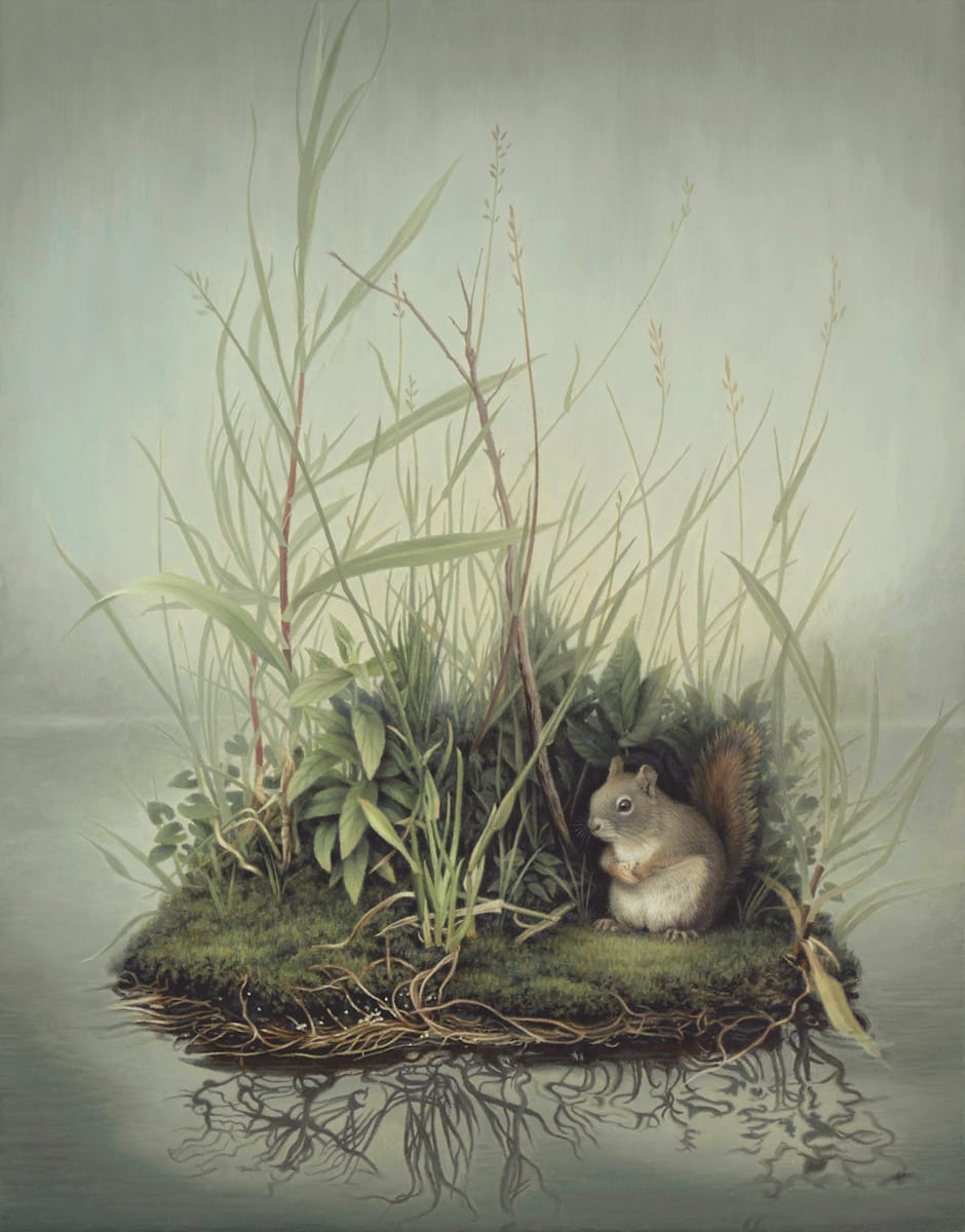 Squirrel 