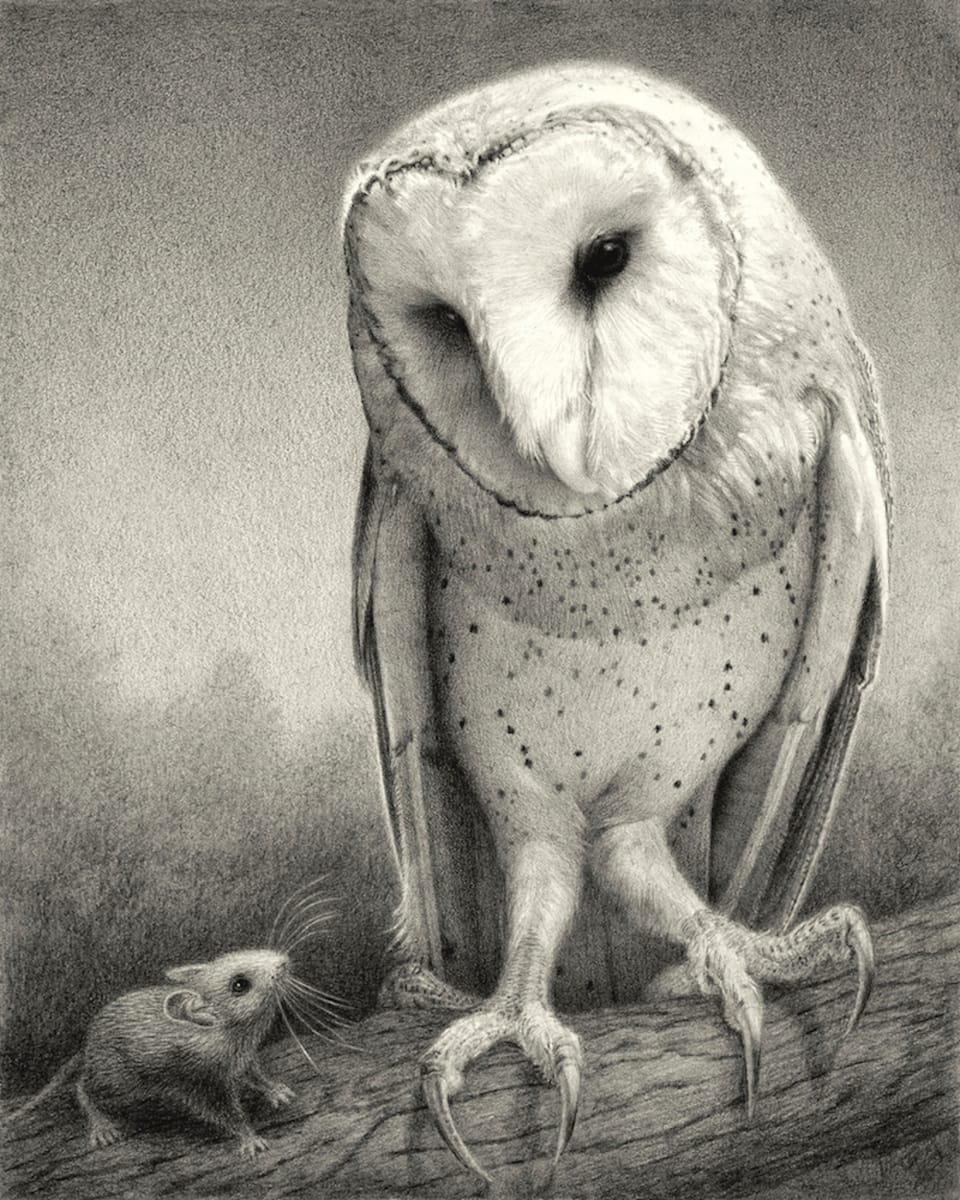 Benevolent Owl 