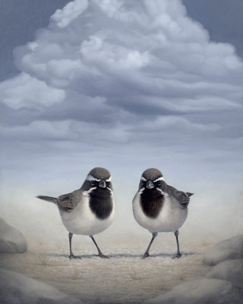 Twins by Susan McDonnell 