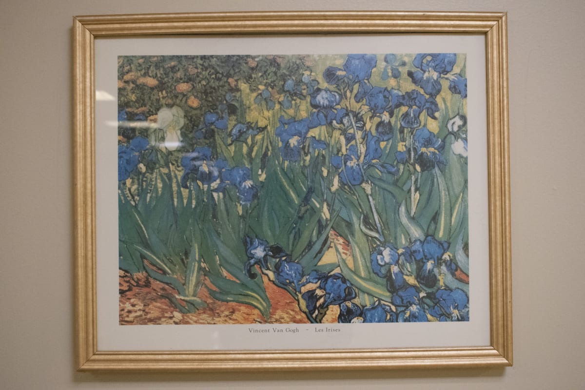 Les Irises by Vincent Van Gogh 