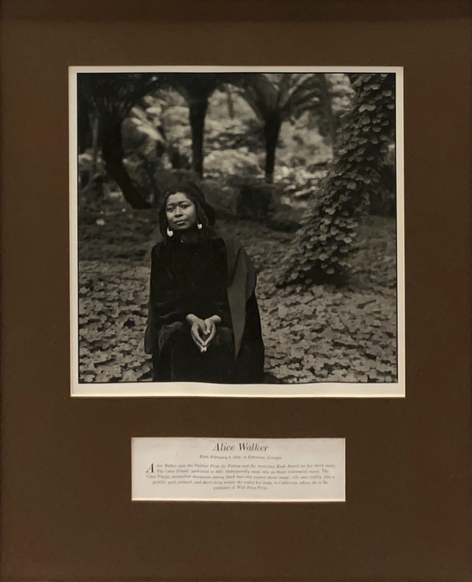 Untitled - Alice Walker Portrait 