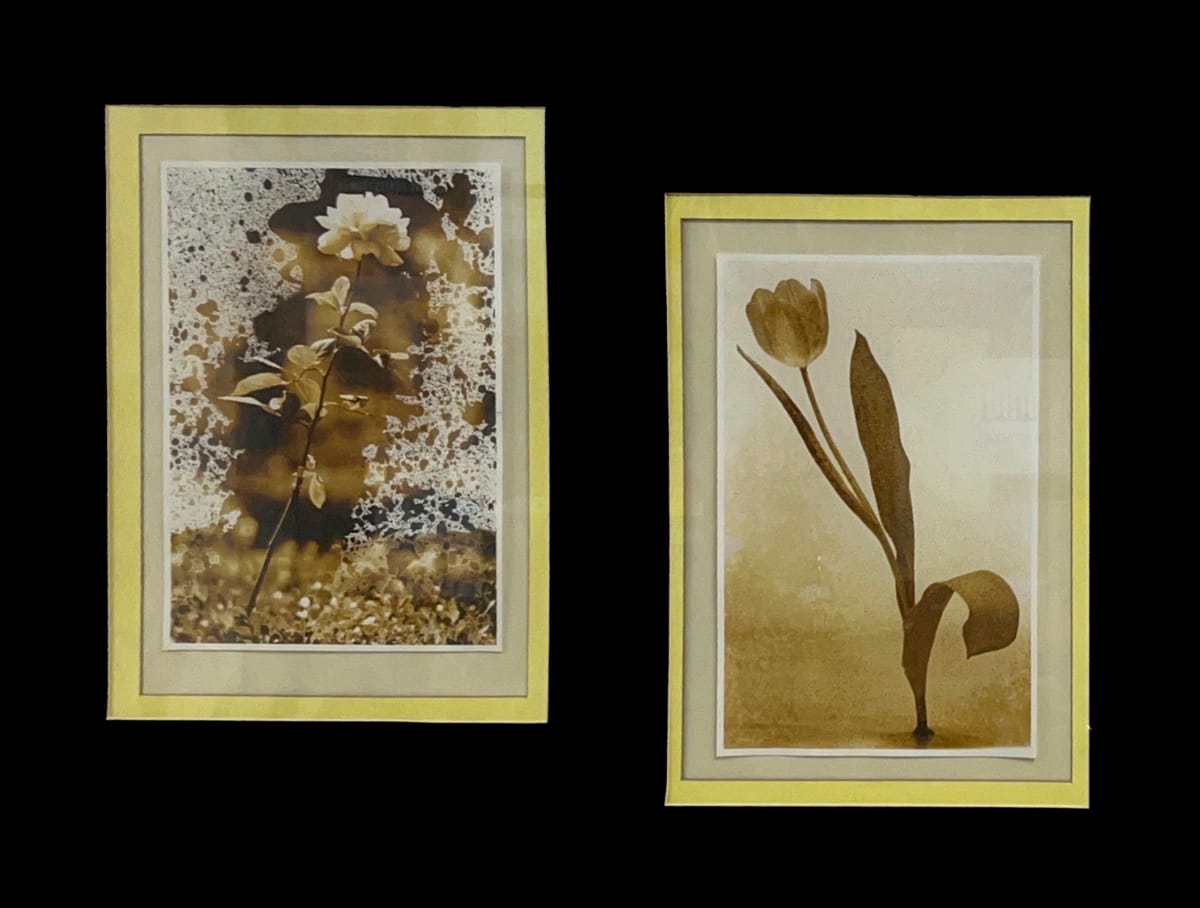 Untitled - Flower Diptych by Karina G. 