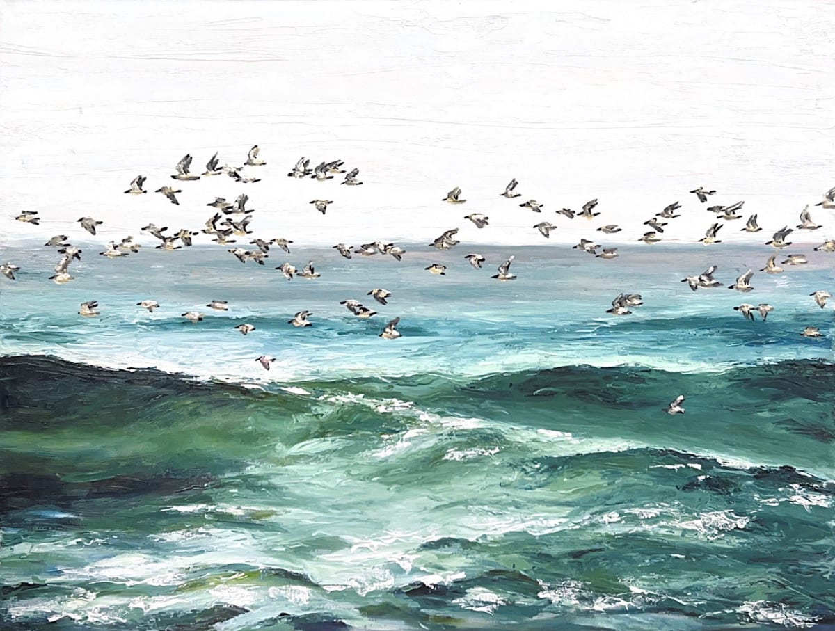 Untitled - Sea Birds 