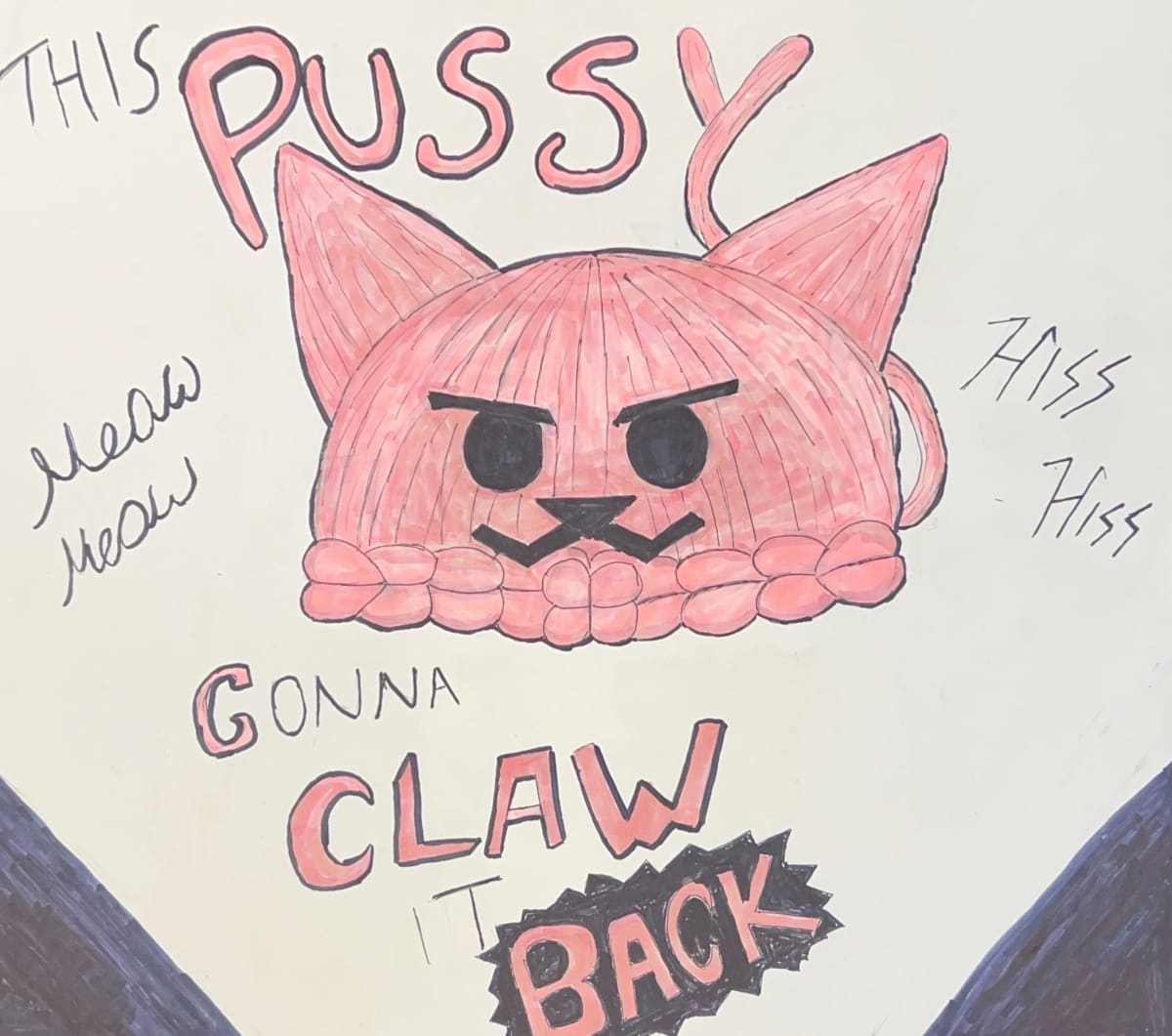 This Pussy is Gonna Claw It Back by Joshua Carter 