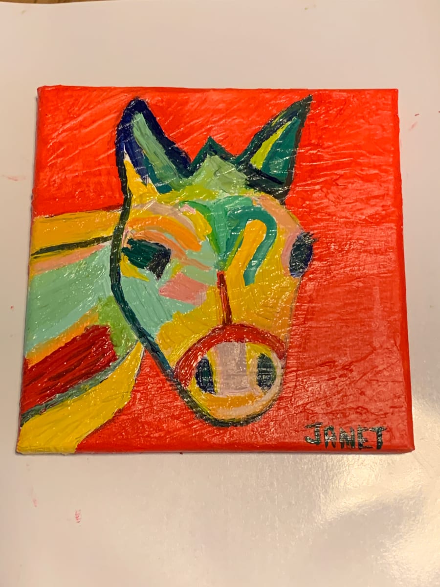 Wild Horse by Janet Borders  Image: My mule was so much fun 🤩! 