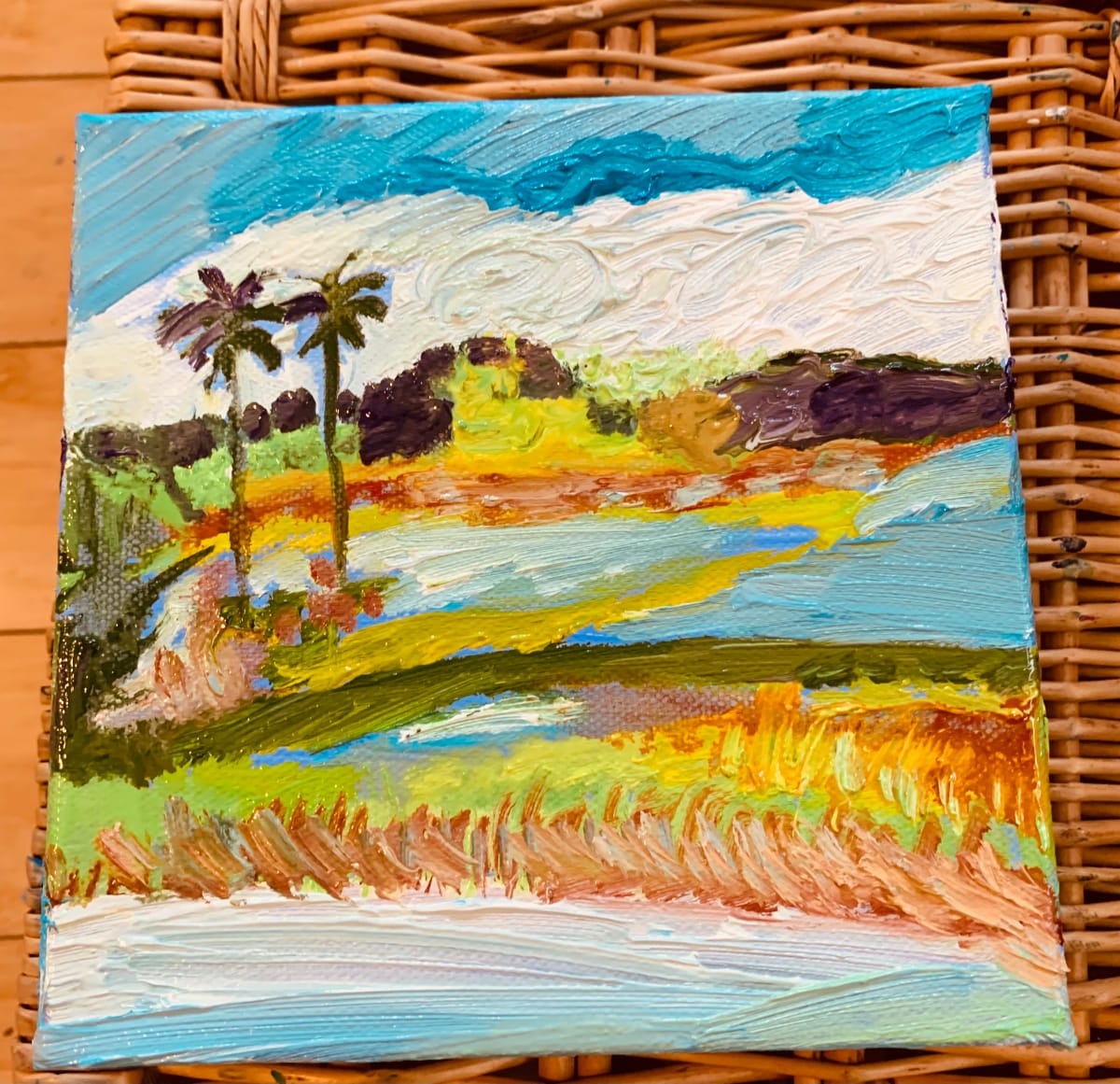Buckarone Puerto Rico by Janet Borders  Image: Between the marshes out to the ocean  