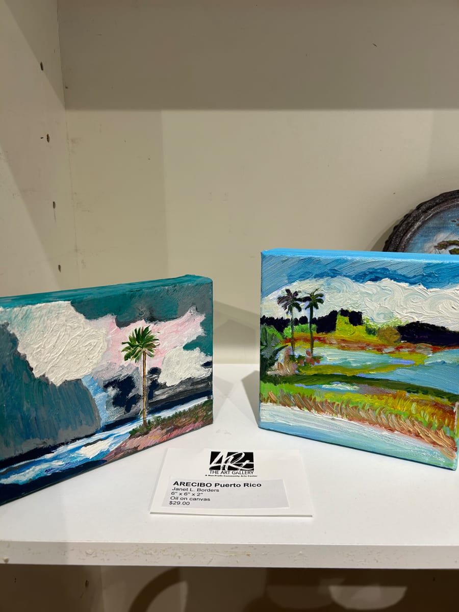 Arecibo Puerto Rico by Janet Borders  Image: Two of Arecibo Puerto Rico.🇵🇷 