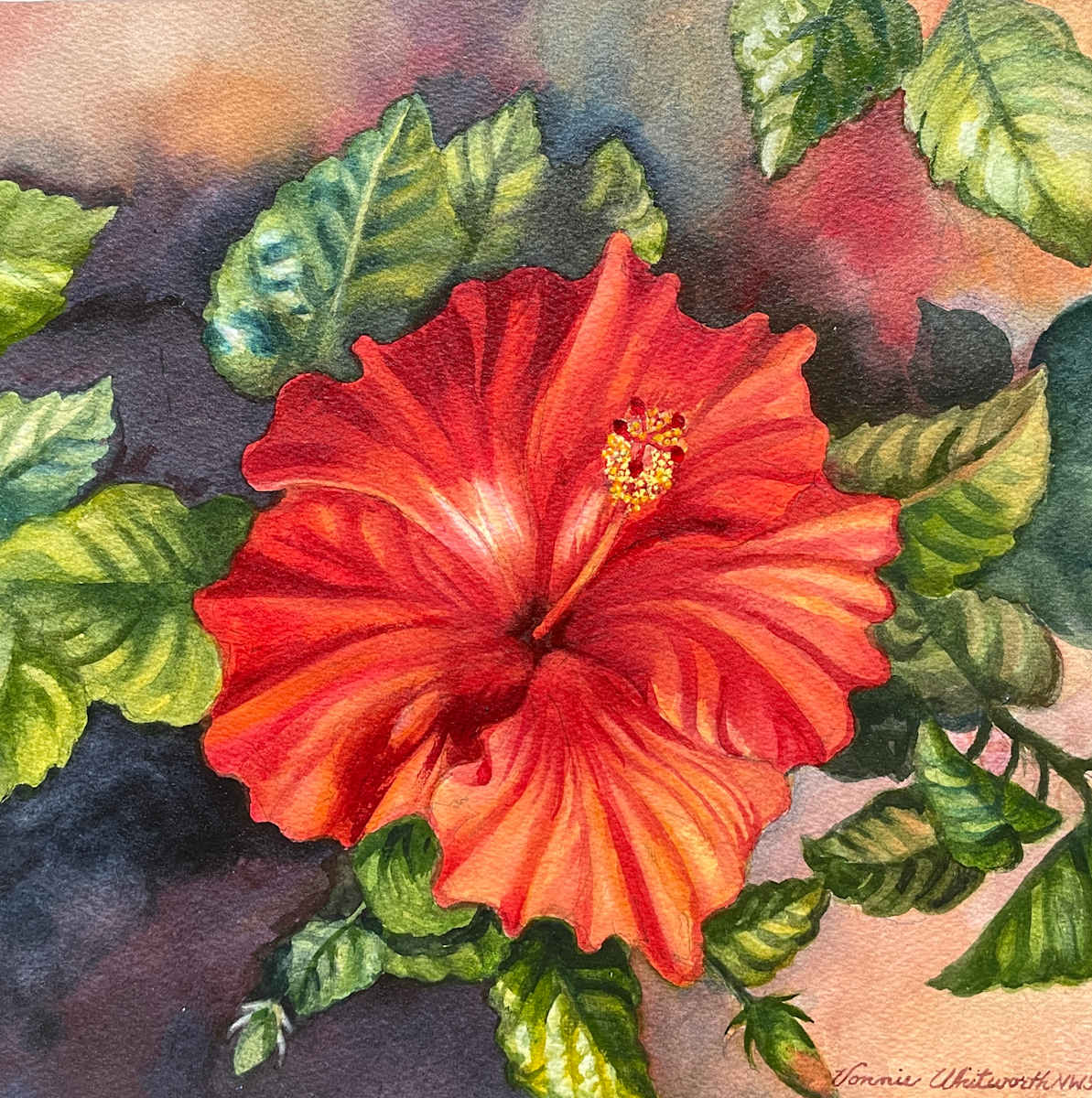 Hibiscus by Vonnie Whitworth 