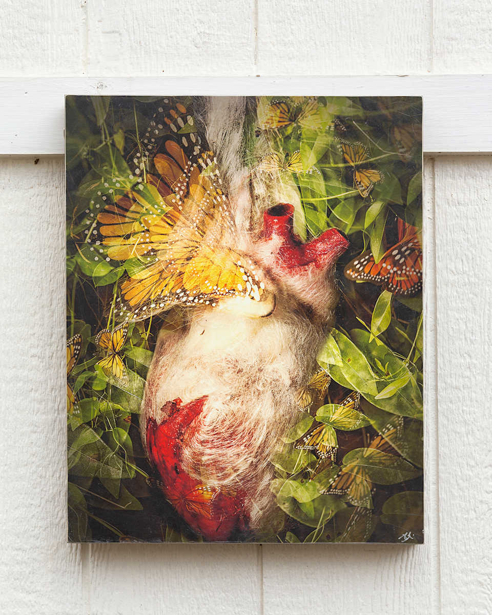 Chrysalis Heart by Yuli Anun 