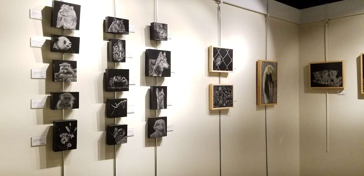 Exhibition Image