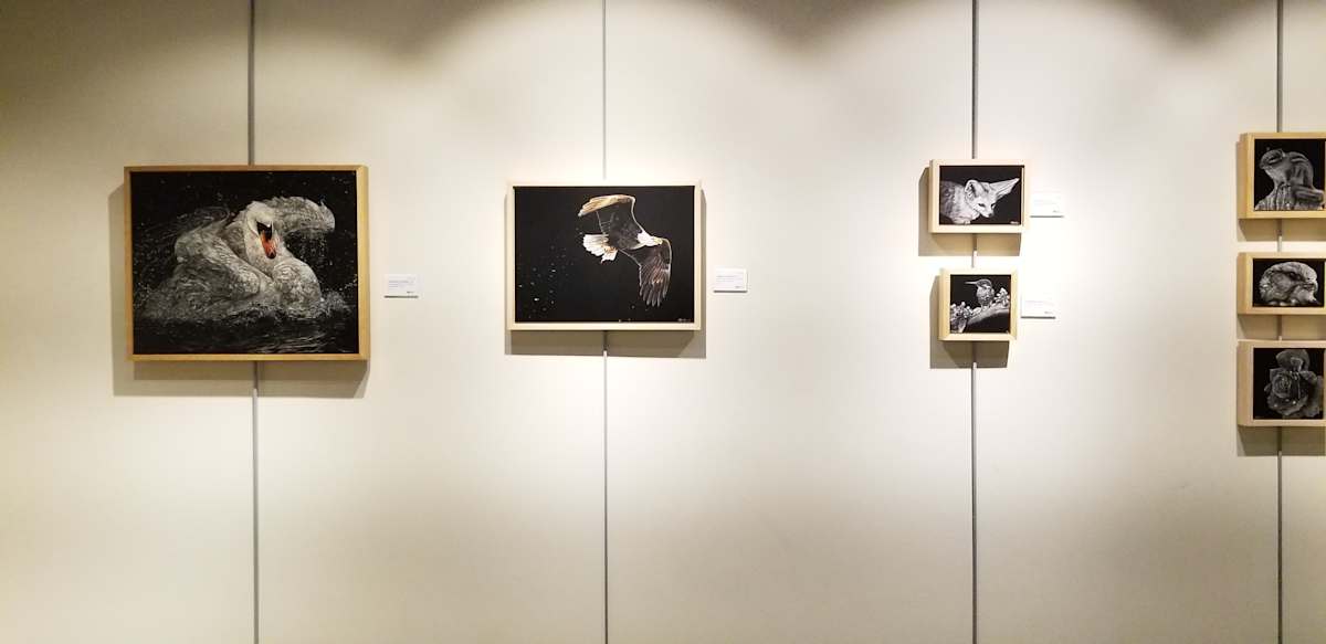 Exhibition Image