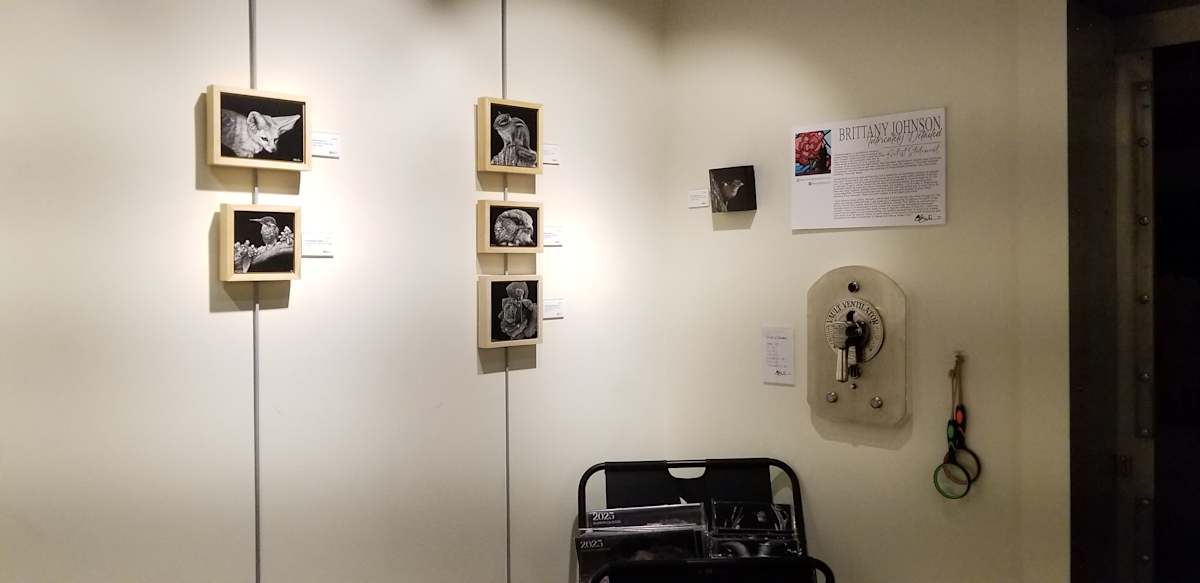 Exhibition Image