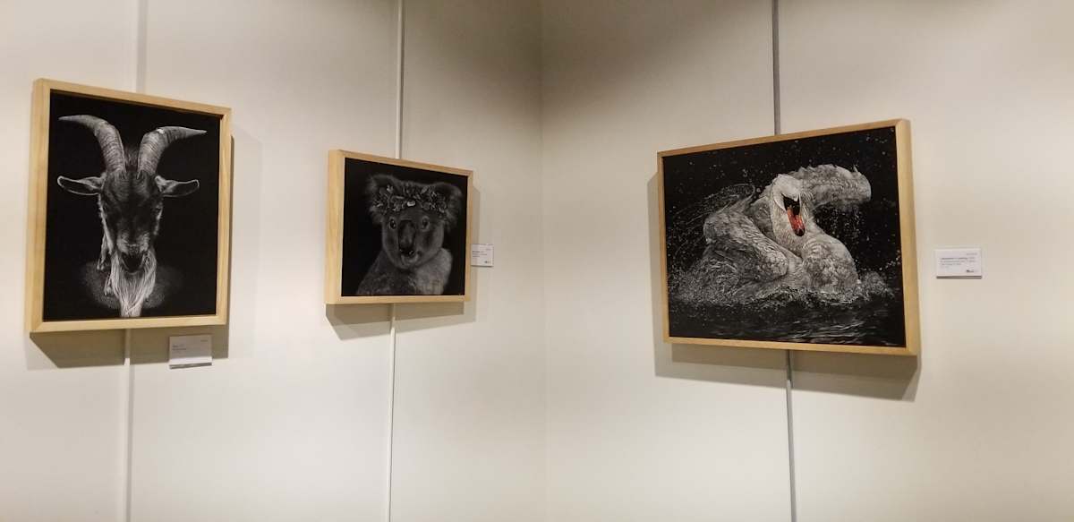 Exhibition Image