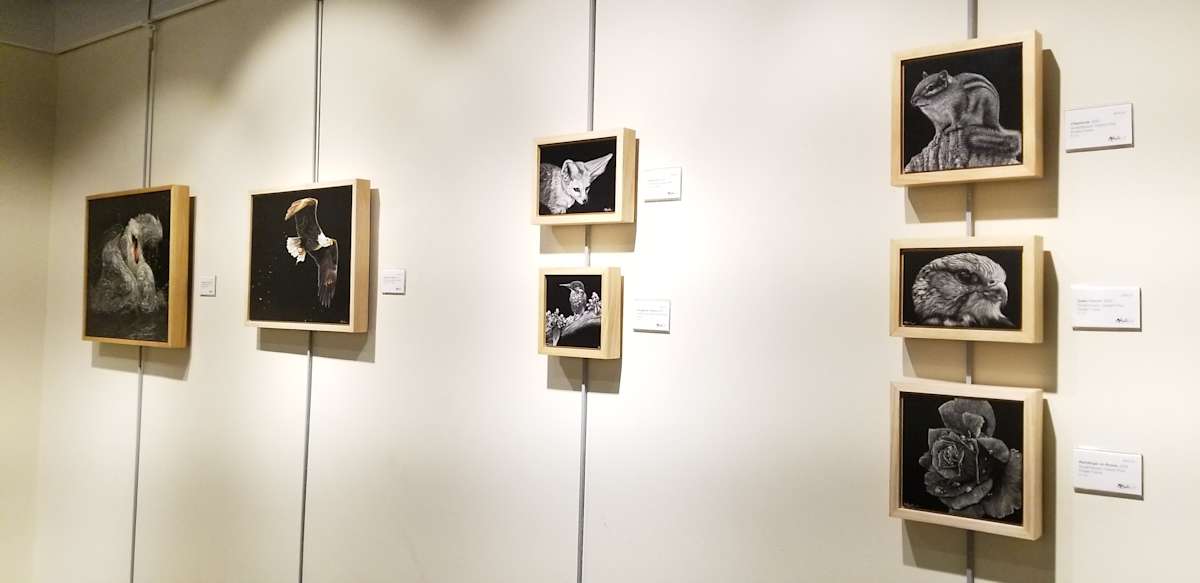 Exhibition Image