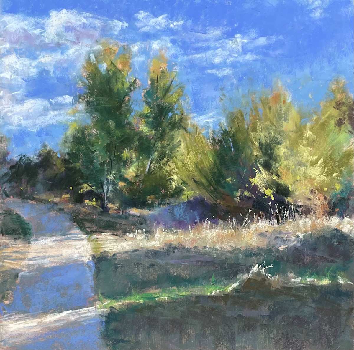 Dancing Light by Wendy Bombelles 