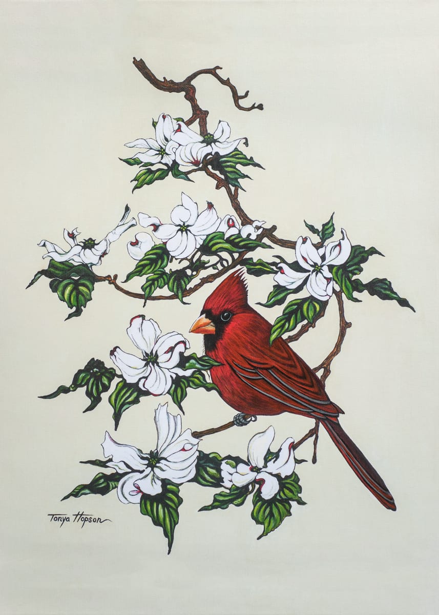 Cardinal in Dogwood by Tonya Hopson 