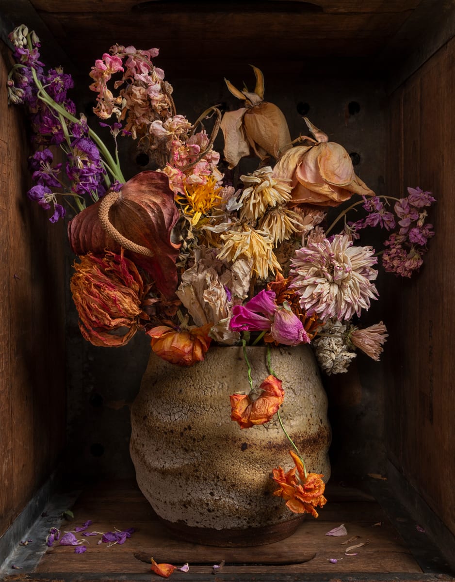 A Filigree in Spirit by Richard Carroll  Image: "From my current series Still Life in a Box. Printed on archival fiber paper."