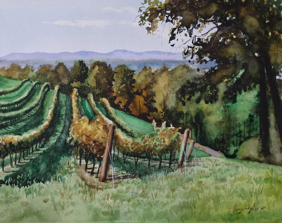 Carter Mountain by Terry Wylie 