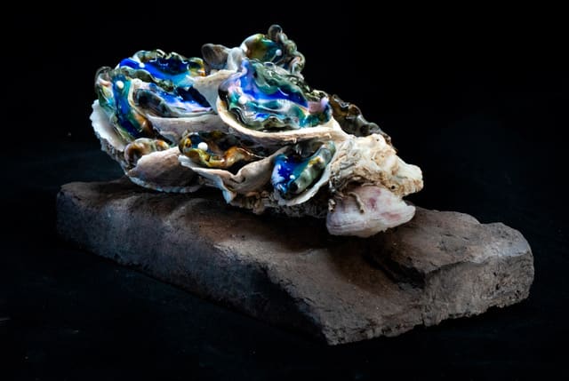 Clustered Stillness by Cathy-Jo Ramsey, Image 3.