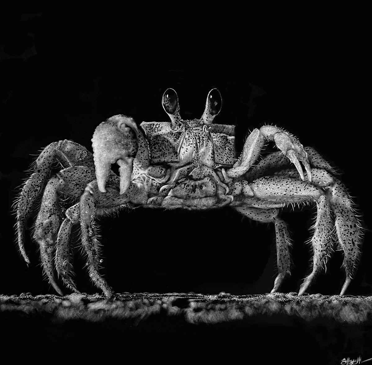 Crabtivating by Brittany Johnson 