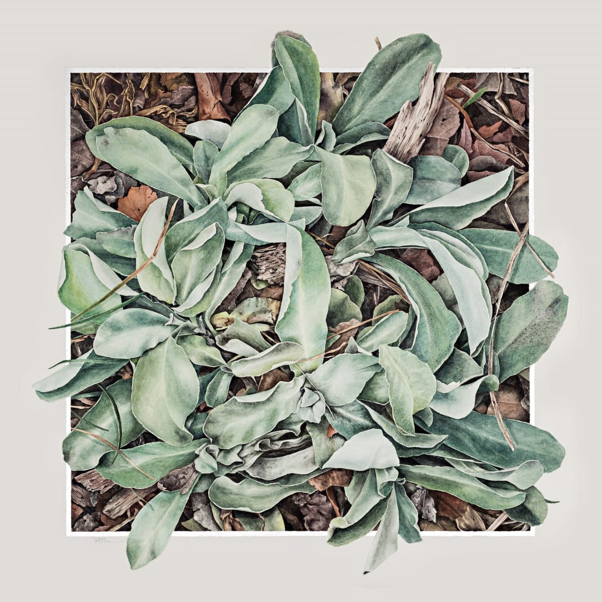 On the Brink of Becoming Acquainted by Rowena Finn 