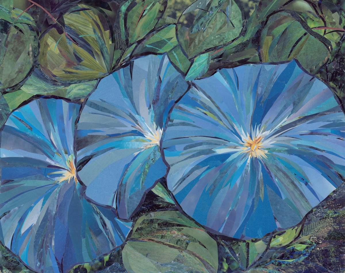 Morning Glories by Ilene Gold 