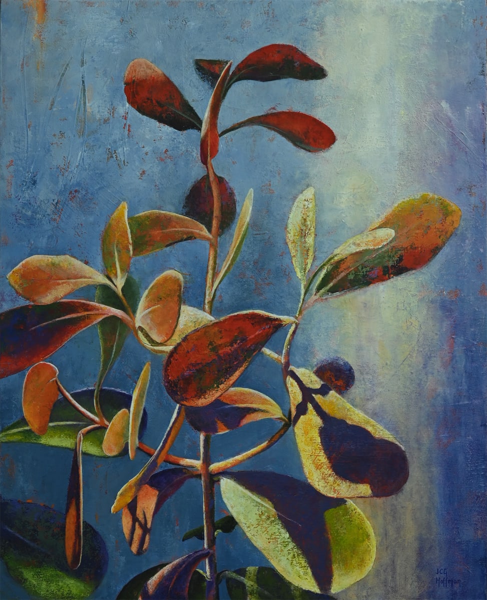 Clusia Leaves by Jennifer Hoffman, Image 1.
