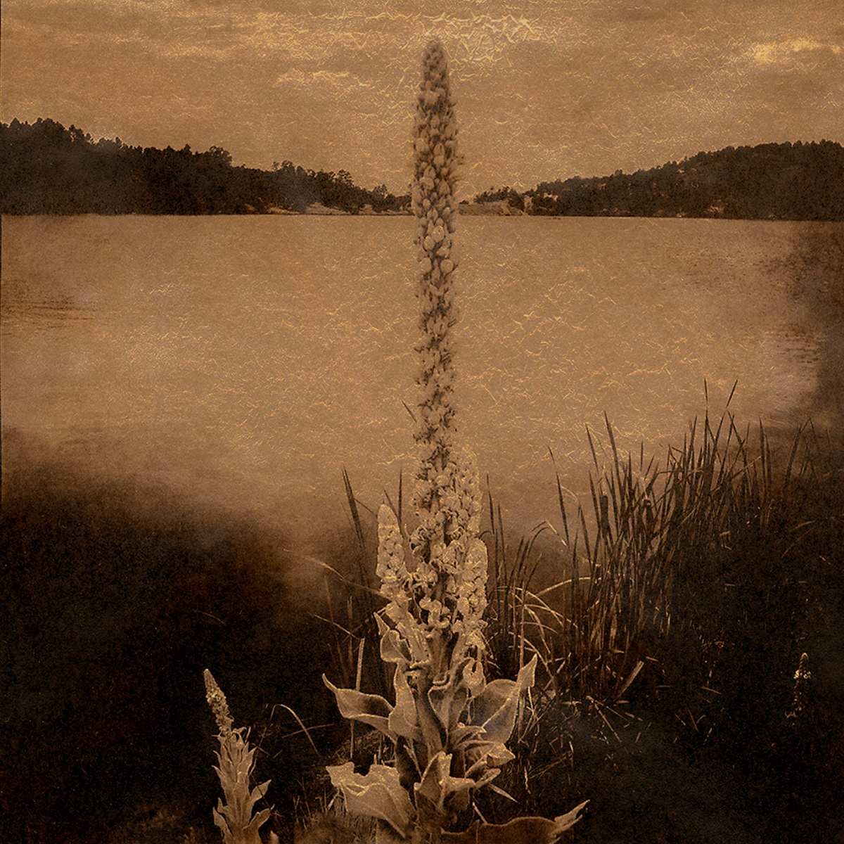 Reed, Lake, Roberts, NM by Karen Hymer 