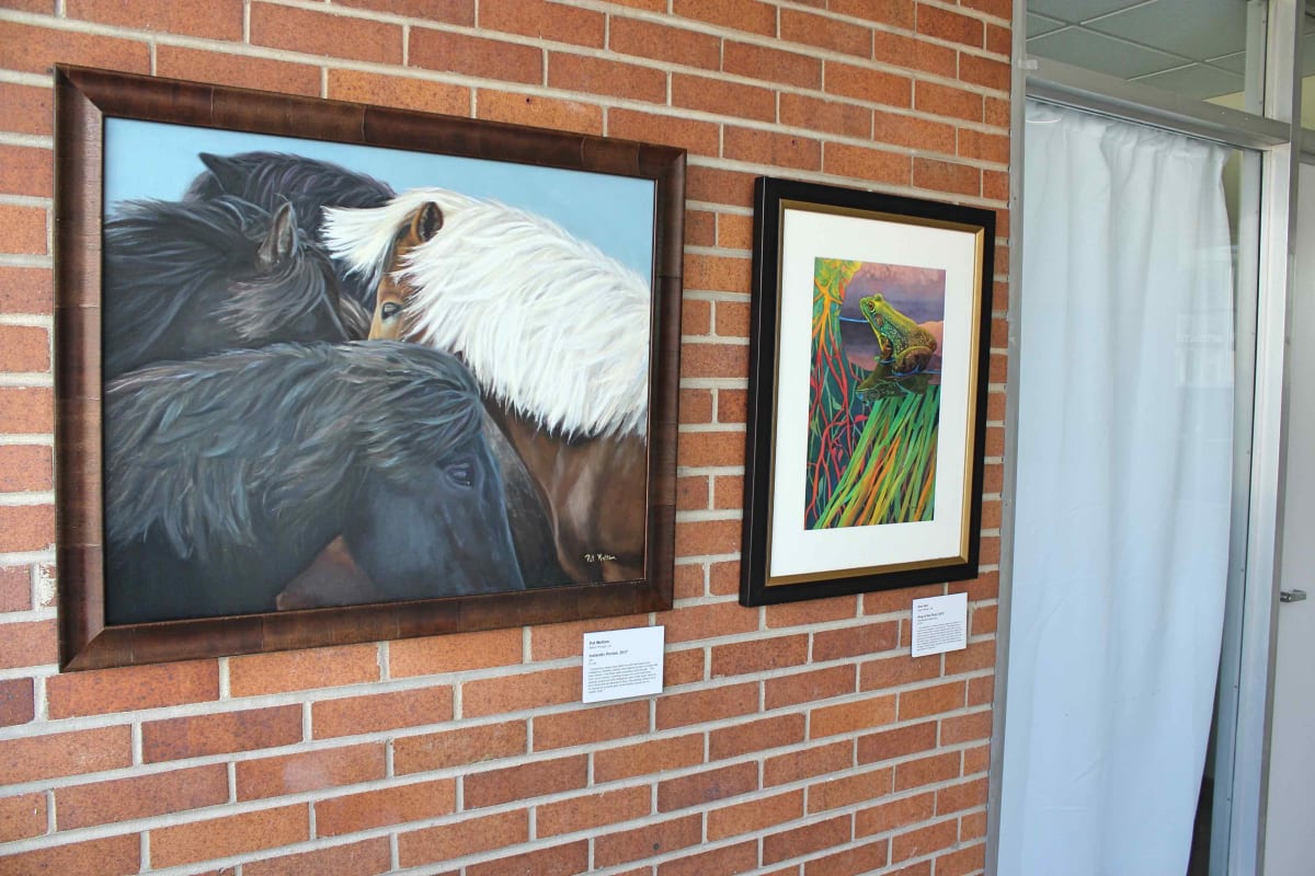Exhibition Image