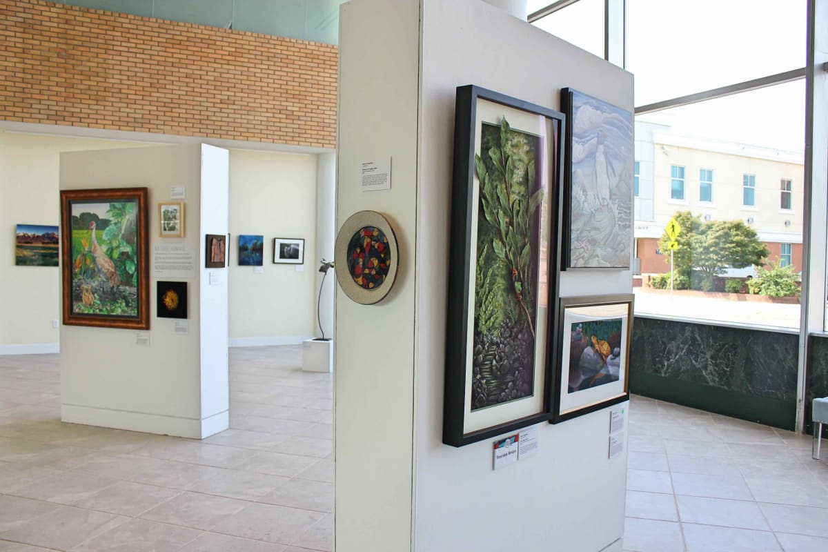 Exhibition Image