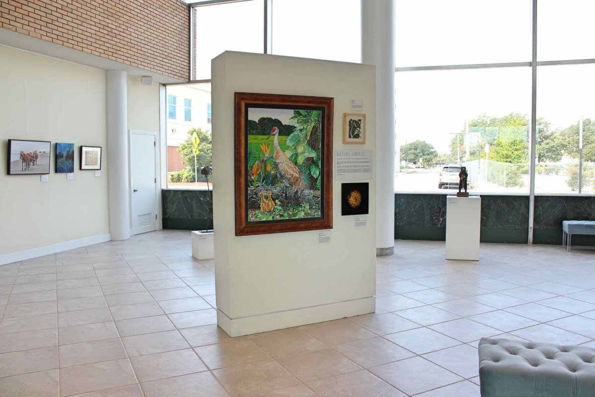 Exhibition Image