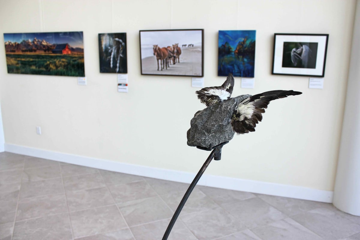 Exhibition Image