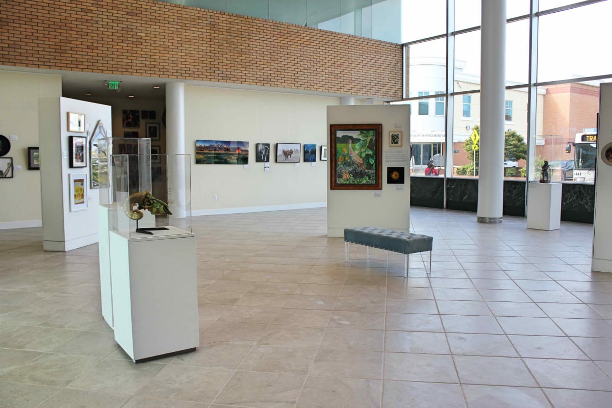 Exhibition Image