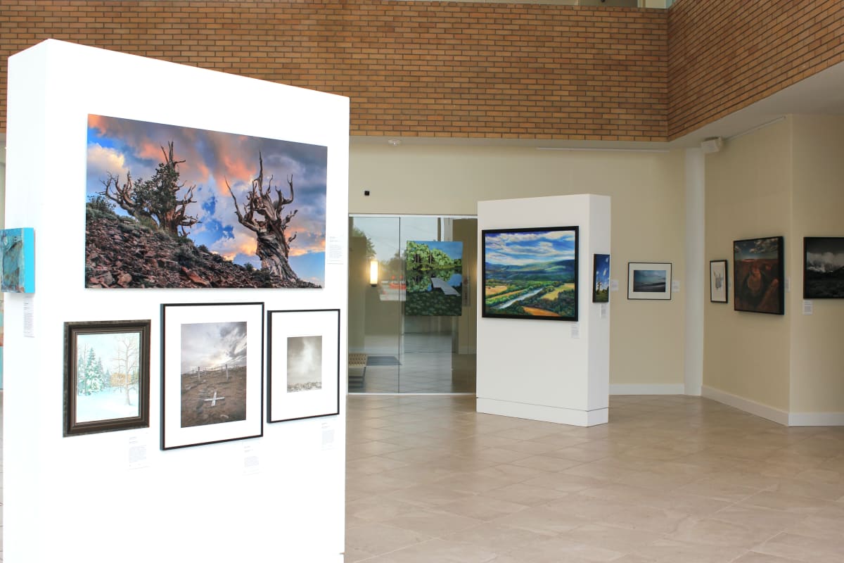 Exhibition Image