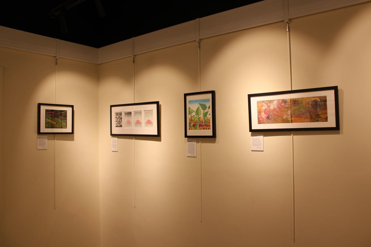 Exhibition Image