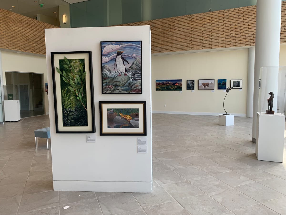 Exhibition Image