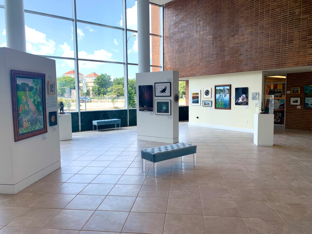 Exhibition Image