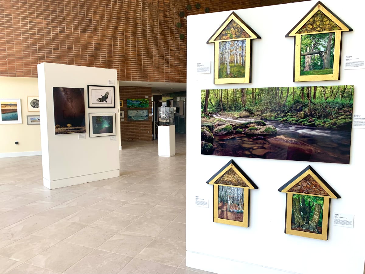 Exhibition Image