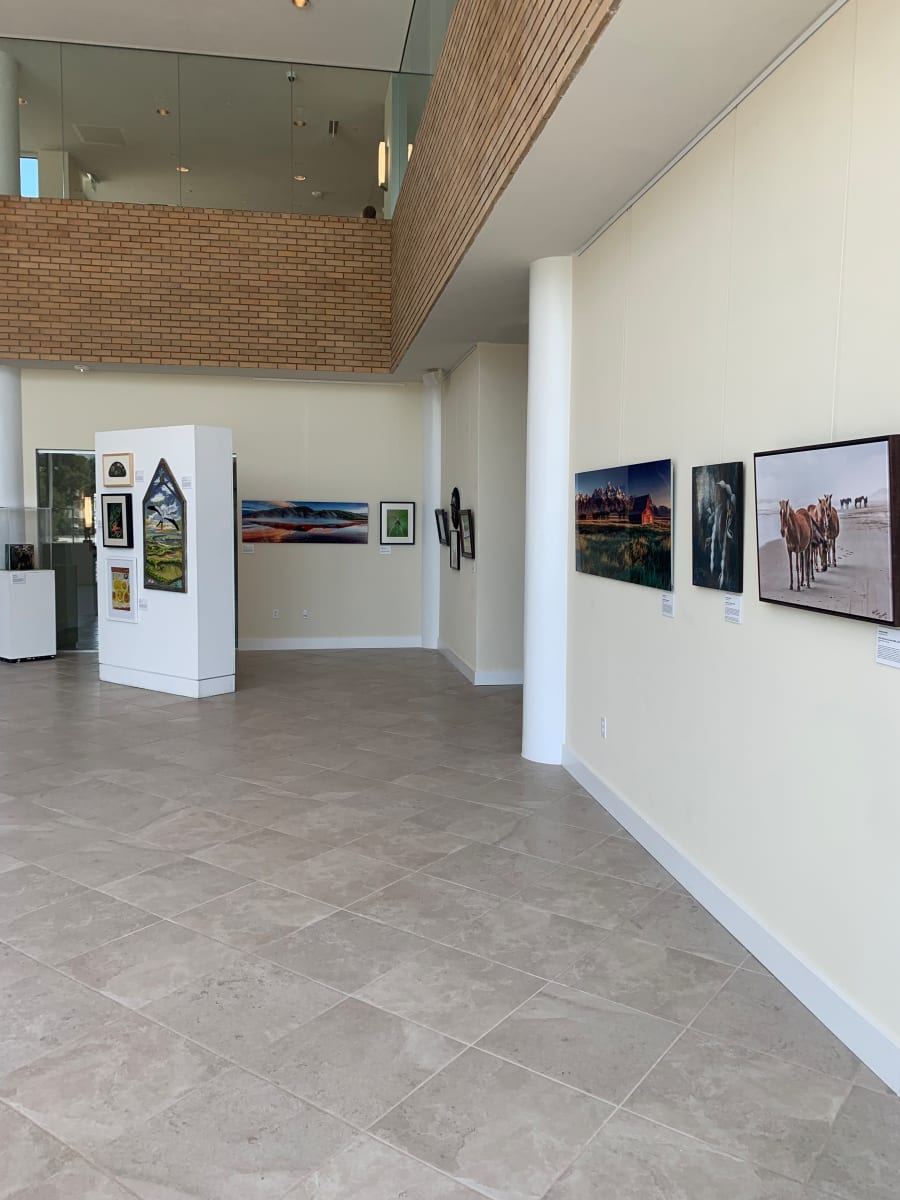 Exhibition Image