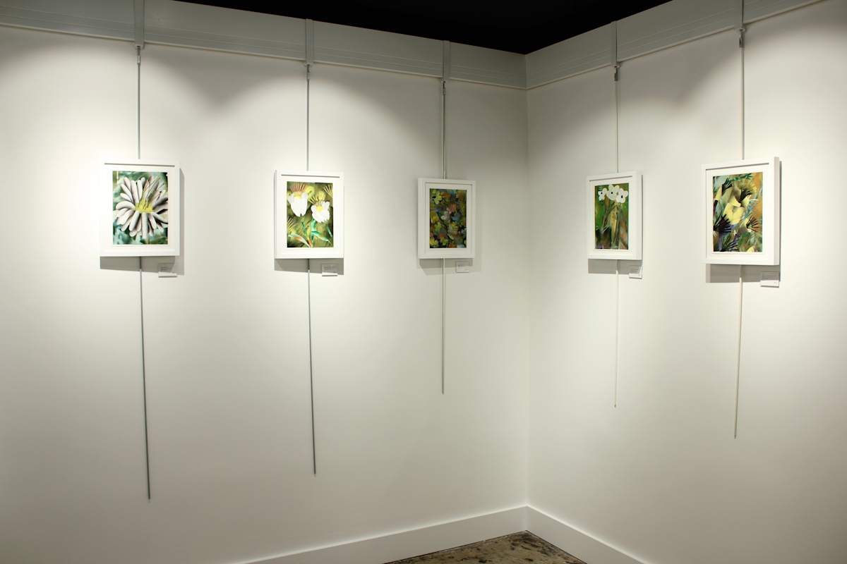 Exhibition Image