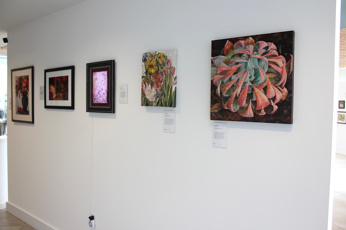 Exhibition Image