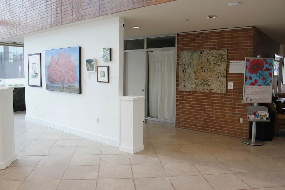 Exhibition Image