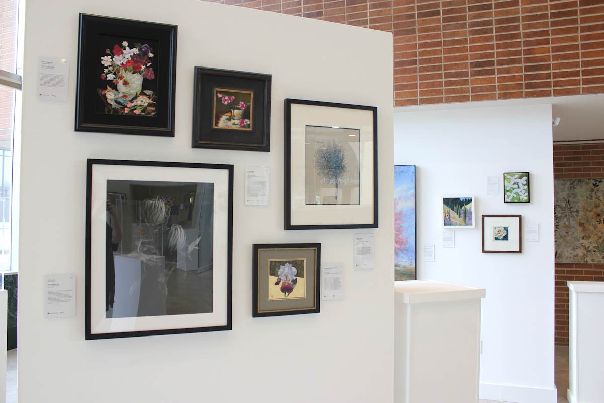 Exhibition Image
