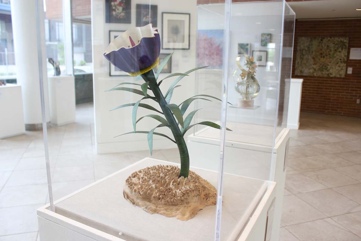 Exhibition Image