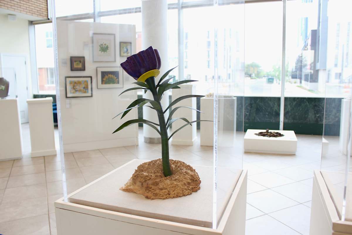 Exhibition Image