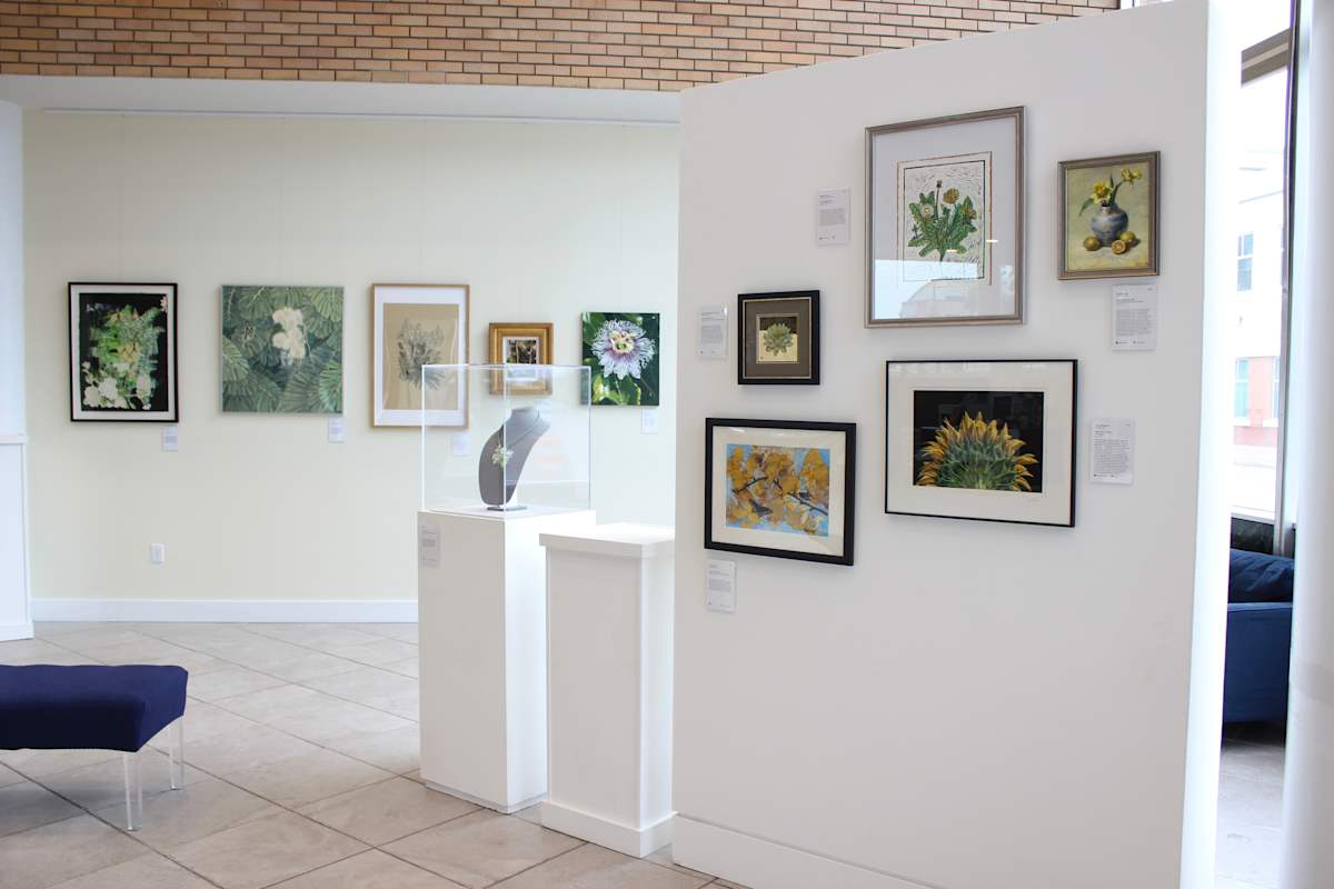 Exhibition Image