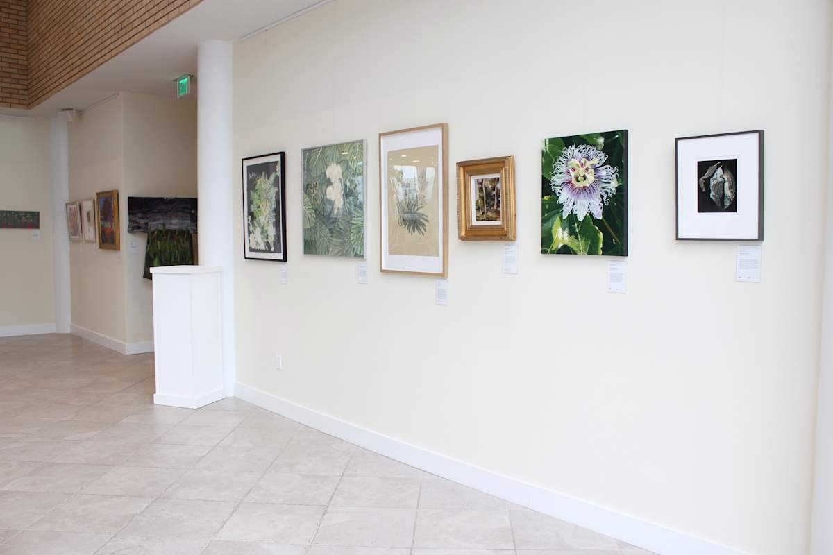 Exhibition Image