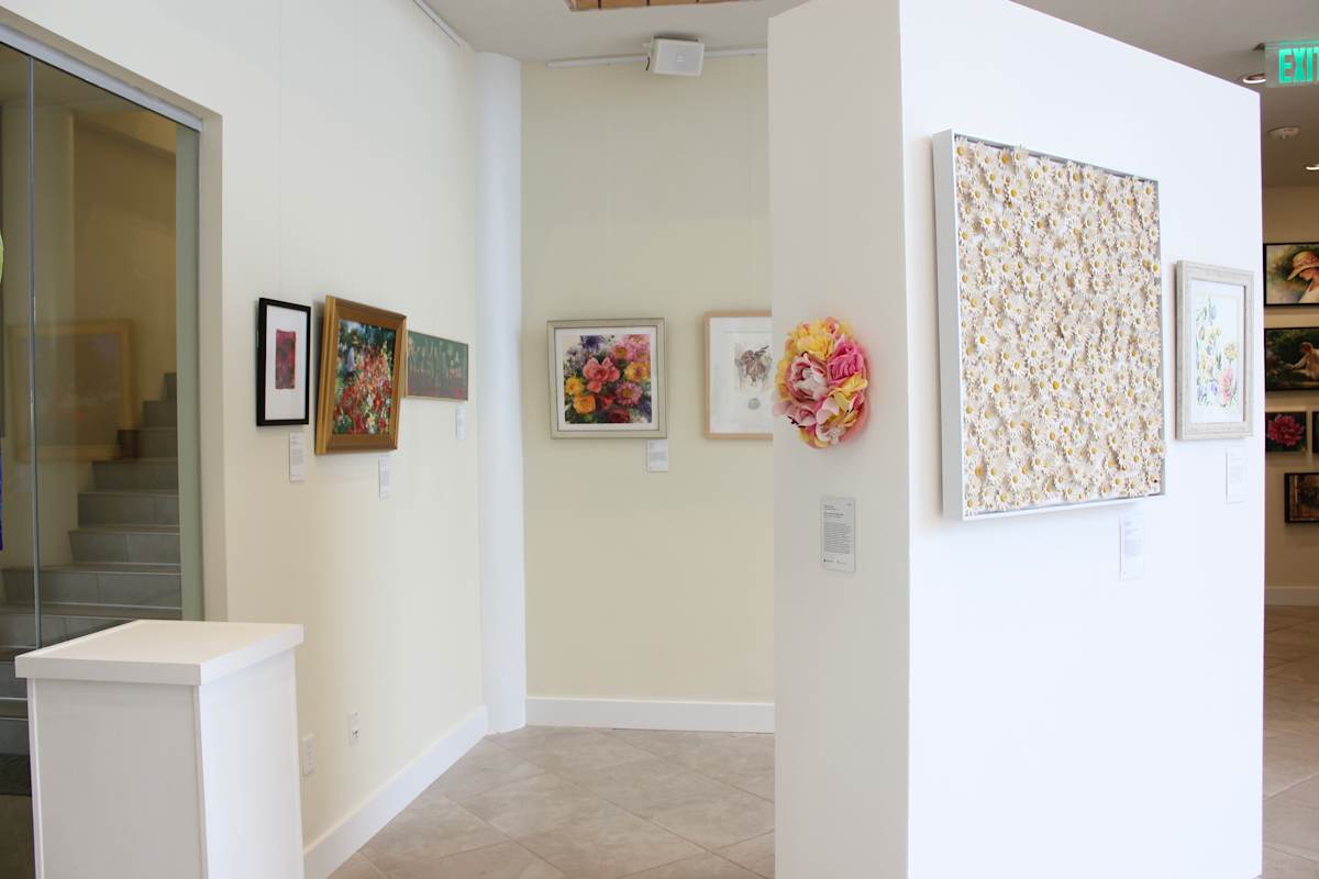 Exhibition Image