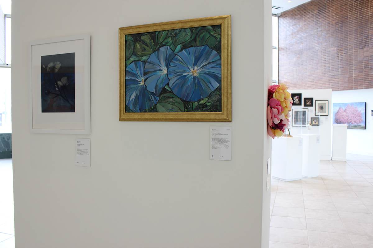 Exhibition Image